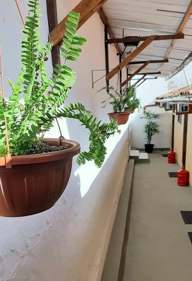 Flats Vasconcelos Itacaré المظهر الخارجي الصورة